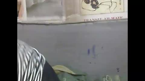 pierrette12345 online show from April 2026 06:34:01 PM