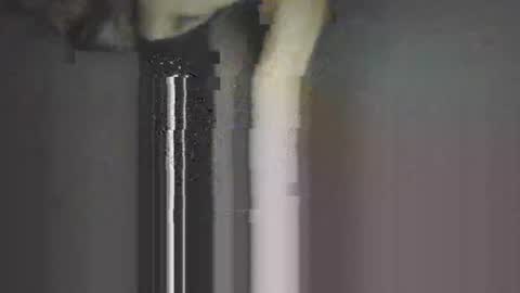 piggyes 74 online show from September 2025 10:44:02 PM