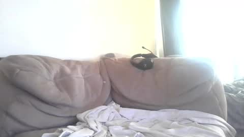 Snapshot of piggyfun79 chatting on March 2026 01:51:01 AM Piggyfun1979 online show from March 2026 01:51:01 AM