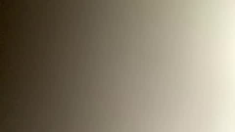 Snapshot of pimptheride chatting on December 2024 10:51:01 PM Bee online show from December 2024 10:51:01 PM