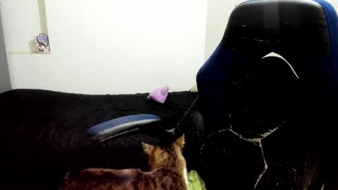 weedcandy ig y twitter xpink dustt online show from October 2025 02:23:02 AM