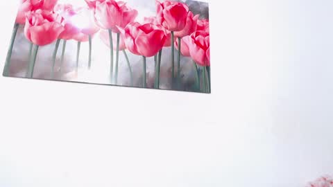 pinky_f00x online show from April 2026 08:02:01 PM