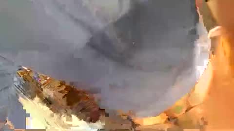 pippetta1 online show from November 2025 03:00:02 PM