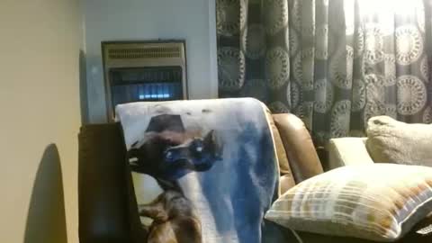 pirate334 online show from January 2026 11:29:01 PM