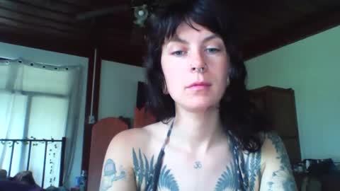 pixiecatfairy online show from November 2025 03:17:01 AM