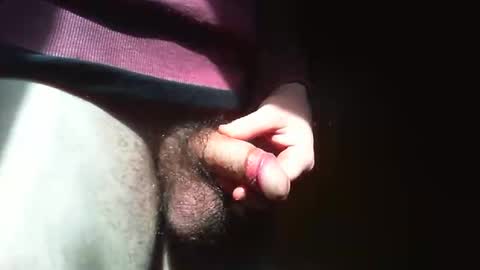 Snapshot of pl4yer21 chatting on April 2026 02:29:02 PM pl4yer21 online show from April 2026 02:29:02 PM