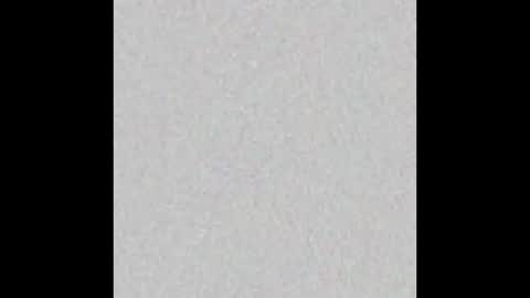 PLADPLAS online show from February 2025 07:59:02 AM