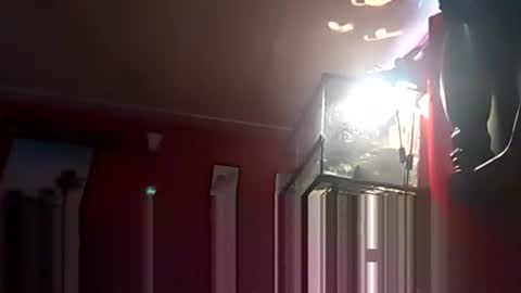 SEX ADDICTION WANNA MEET online show from December 2024 06:34:02 PM