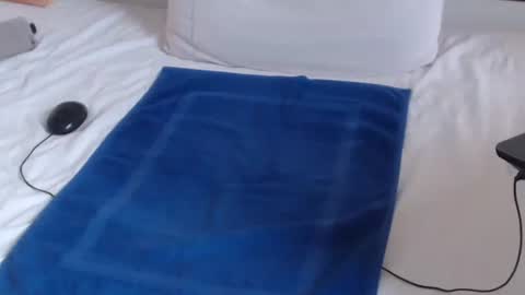 Snapshot of playuall chatting on December 2024 11:29:01 AM Steve online show from December 2024 11:29:01 AM