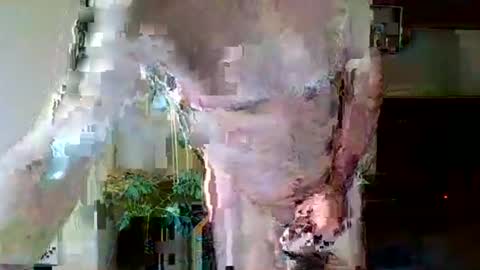 Snapshot of pluchet chatting on May 2026 04:56:02 PM pluchet online show from May 2026 04:56:02 PM
