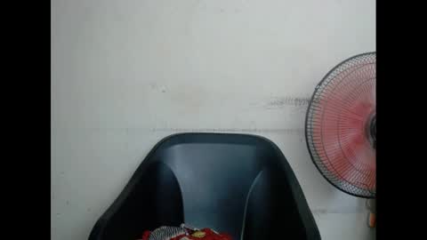 Snapshot of plumnjuicyx chatting on February 2025 06:02:01 AM plumnjuicyx online show from February 2025 06:02:01 AM