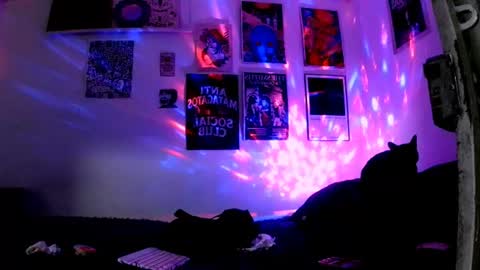 Snapshot of plutonbluemoon_999 chatting on June 2026 11:50:02 PM online show from June 2026 11:50:02 PM