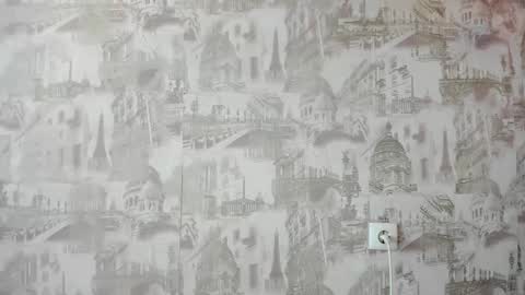 Snapshot of pocahontas654 chatting on February 2025 04:16:02 AM Erica online show from February 2025 04:16:02 AM