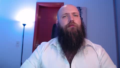 Bear online show from February 2025 08:17:01 AM