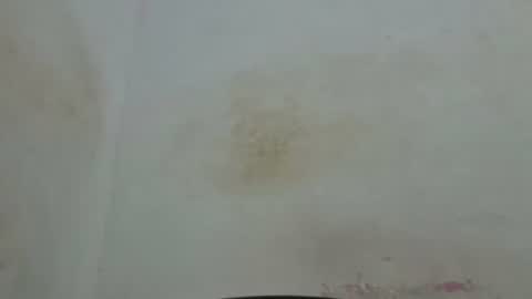 poli online show from April 2026 01:59:02 AM