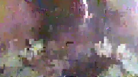 Paul online show from January 2025 01:59:02 PM