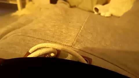 pollontf online show from March 2026 01:41:02 AM