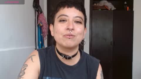 Poly online show from December 2024 01:38:02 PM