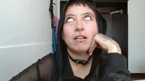 Poly online show from January 2025 06:10:01 PM