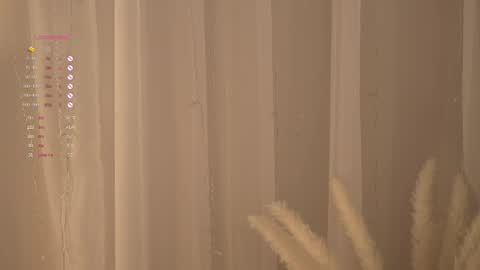    online show from April 2026 10:29:02 AM