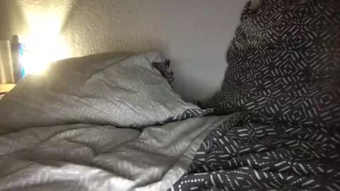 poolau online show from March 2026 10:48:01 PM