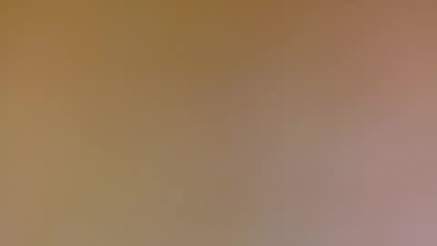 Snapshot of poprigyn53535 chatting on October 2025 08:23:02 AM Poprigyn53535 online show from October 2025 08:23:02 AM