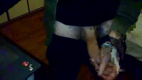 porcellobolognese online show from January 2026 02:27:02 AM