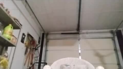 PipeLayerPlayer007 online show from October 2025 05:38:01 AM