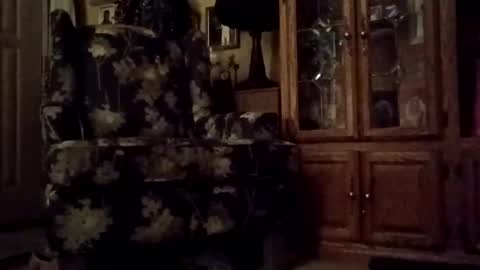 PipeLayerPlayer007 online show from February 2026 05:15:01 AM