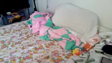 PAWG Pale Princess online show from January 2025 04:34:01 PM