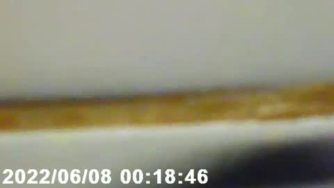 Snapshot of pretty_boy_jack chatting on February 2025 02:56:02 AM pretty_boy_jack online show from February 2025 02:56:02 AM