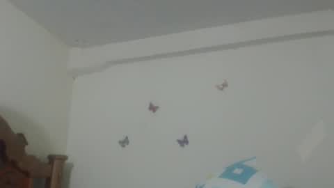 Snapshot of pretty_rose_ chatting on February 2025 06:49:02 AM Rose online show from February 2025 06:49:02 AM