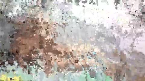 SaraCattra online show from September 2025 10:48:02 AM