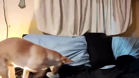 Prettyslangin69 FYPM online show from February 2025 07:53:02 AM