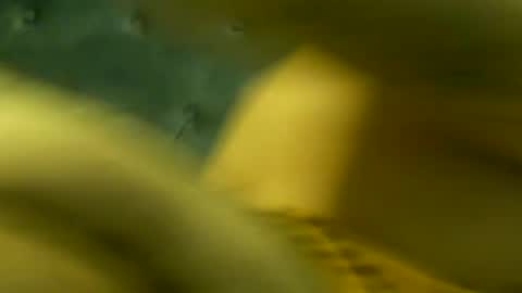 DADDYDICRICO6969 online show from August 2026 07:17:01 PM