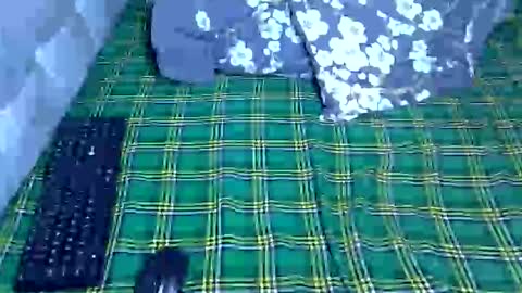 Snapshot of prettyelsie chatting on April 2026 02:33:01 PM Prettiesexxy online show from April 2026 02:33:01 PM