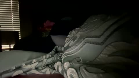 prettyfacefemale online show from February 2026 06:59:02 PM