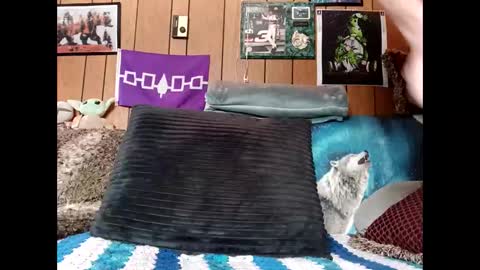 prettysolid7 online show from March 2026 02:20:01 PM