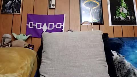 prettysolidd7 online show from January 2025 10:06:01 AM