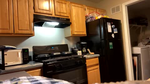 prettyworld24 online show from January 2025 07:03:01 AM