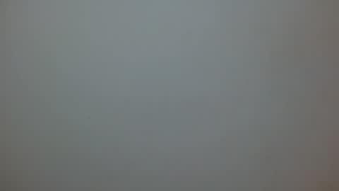 princess1609 online show from March 2026 02:01:01 PM