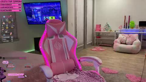 Cece  NEXT LIVESTREAM -- DEC. 4th  7 PM CST online show from February 2025 04:01:02 AM