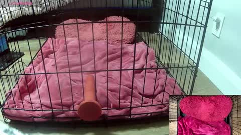 PrIncessJulia0X online show from February 2026 02:53:01 AM