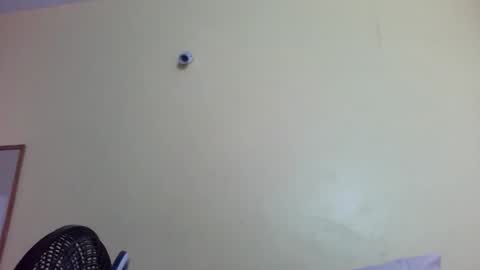 phelly online show from February 2026 11:42:02 PM