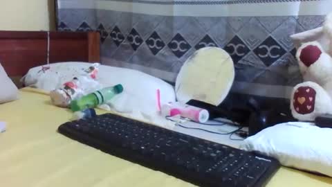 phelly online show from March 2026 03:51:02 PM