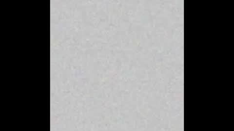 professorhushh online show from November 2025 05:00:01 PM