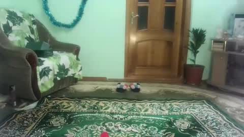 Snapshot of proud_sweet_21 chatting on January 2025 09:47:01 PM proud sweet 21 online show from January 2025 09:47:01 PM