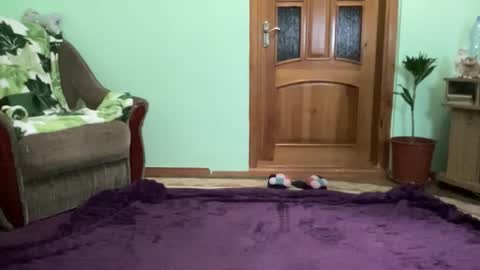 Snapshot of proud_sweet_21 chatting on September 2025 09:58:02 PM proud sweet 21 online show from September 2025 09:58:02 PM