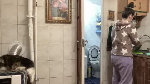 Snapshot of proud_sweet_21 chatting on February 2026 11:47:01 PM proud sweet 21 online show from February 2026 11:47:01 PM