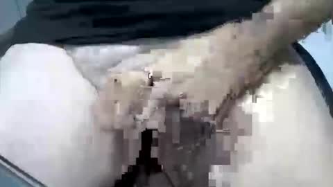 psfunman online show from February 2025 05:48:01 PM